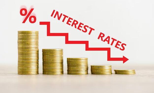 Low Interest Rates (National Student Loans)