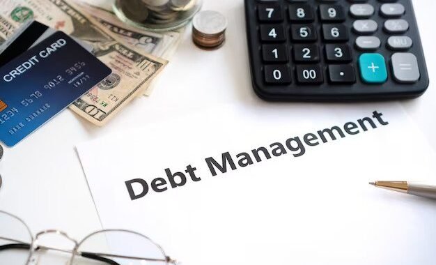 Debt Management Strategies (Loan Business)