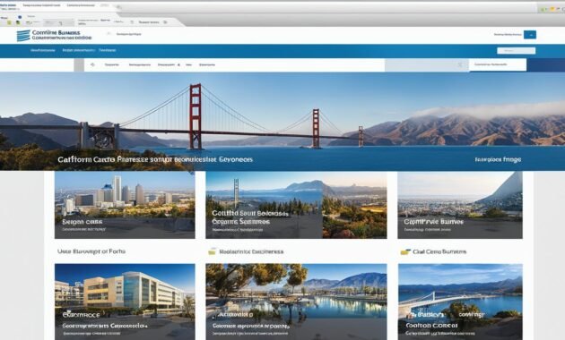 California Business Portal Features